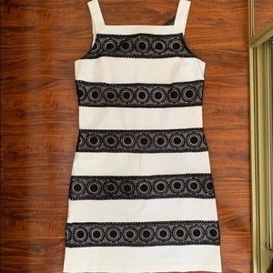 NWT White House Black Market Dress
